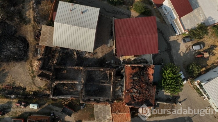 Çanakkale'deki orman yangını kontrol altına alındı