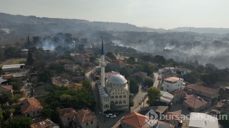 Çanakkale'deki orman yangını kontrol altına alındı
