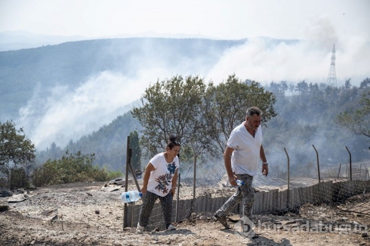 Çanakkale'deki orman yangını kontrol altına alındı