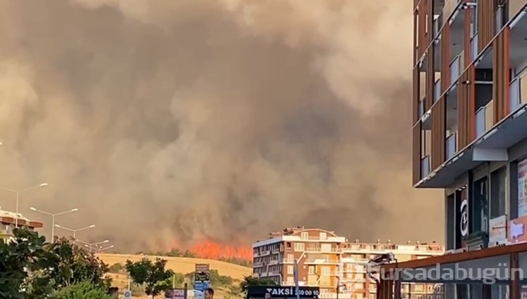 Çanakkale'deki orman yangını kontrol altına alındı