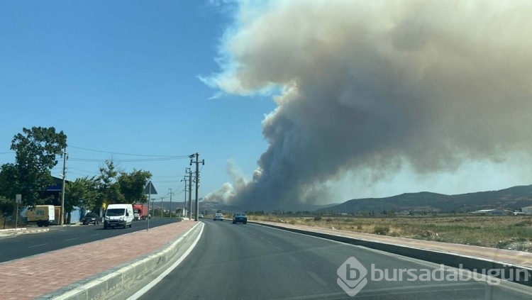 Çanakkale'deki orman yangını kontrol altına alındı