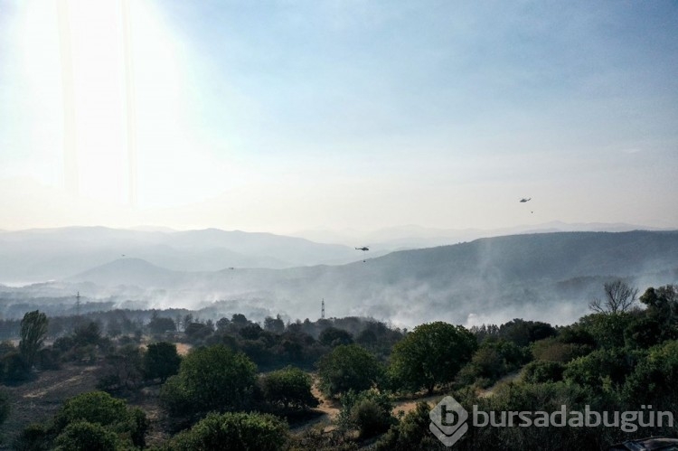 Çanakkale'deki orman yangını kontrol altına alındı