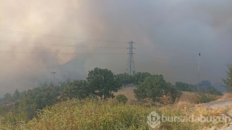 Çanakkale'deki orman yangını kontrol altına alındı