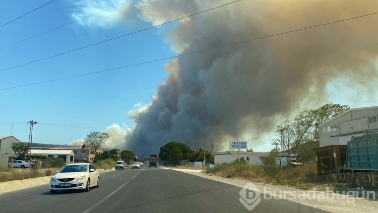 Çanakkale'deki orman yangını kontrol altına alındı