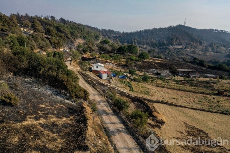 Çanakkale'deki orman yangını kontrol altına alındı
