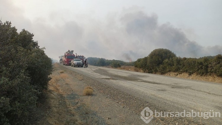 Çanakkale'deki orman yangını kontrol altına alındı