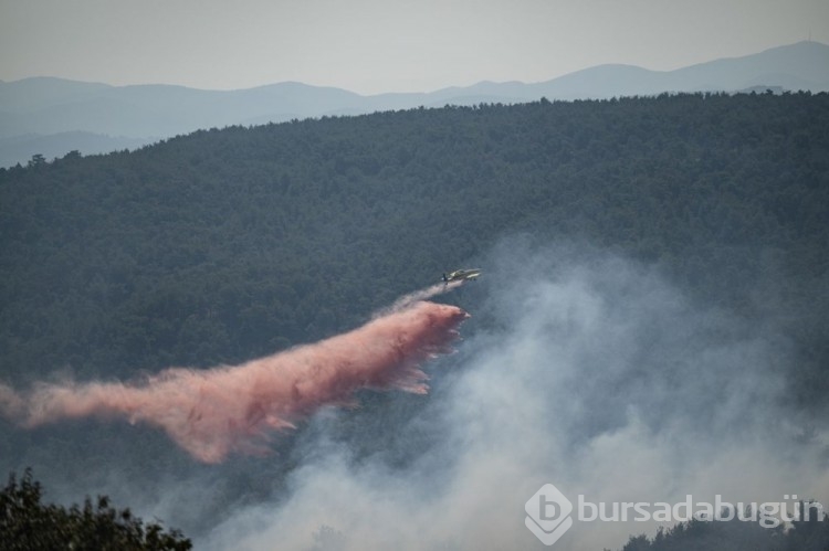 Çanakkale'deki orman yangını kontrol altına alındı