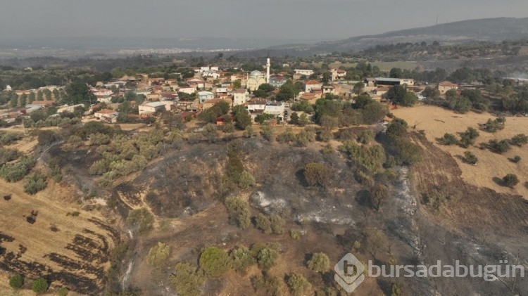 Çanakkale'deki orman yangını kontrol altına alındı