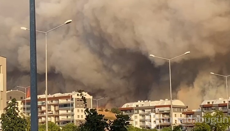 Çanakkale'deki orman yangını kontrol altına alındı