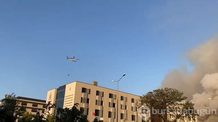 Çanakkale'deki orman yangını kontrol altına alındı