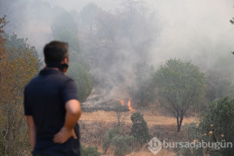 Çanakkale'deki orman yangını kontrol altına alındı
