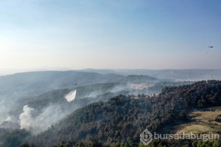 Çanakkale'deki orman yangını kontrol altına alındı
