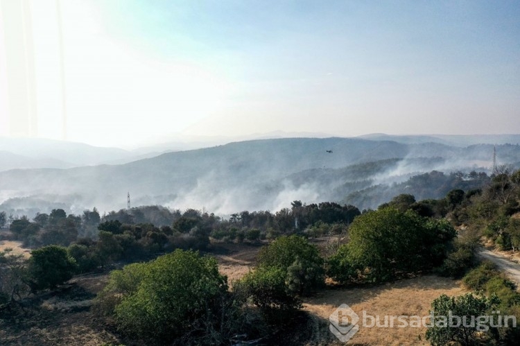 Çanakkale'deki orman yangını kontrol altına alındı