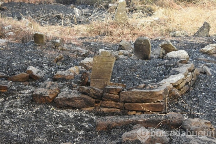 Çanakkale'deki orman yangını kontrol altına alındı