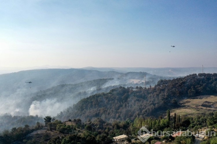 Çanakkale'deki orman yangını kontrol altına alındı