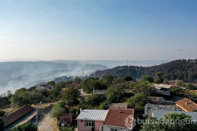 Çanakkale'deki orman yangını kontrol altına alındı