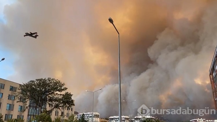 Çanakkale'deki orman yangını kontrol altına alındı