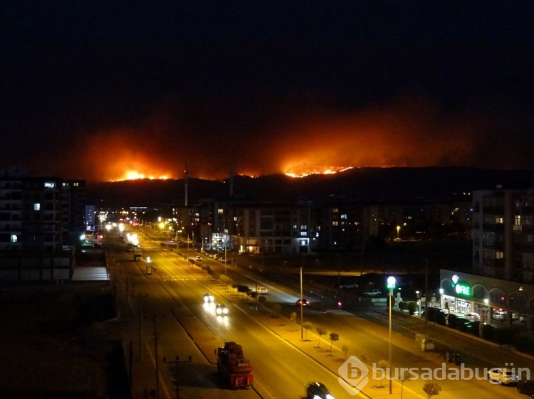 Çanakkale'deki orman yangını kontrol altına alındı
