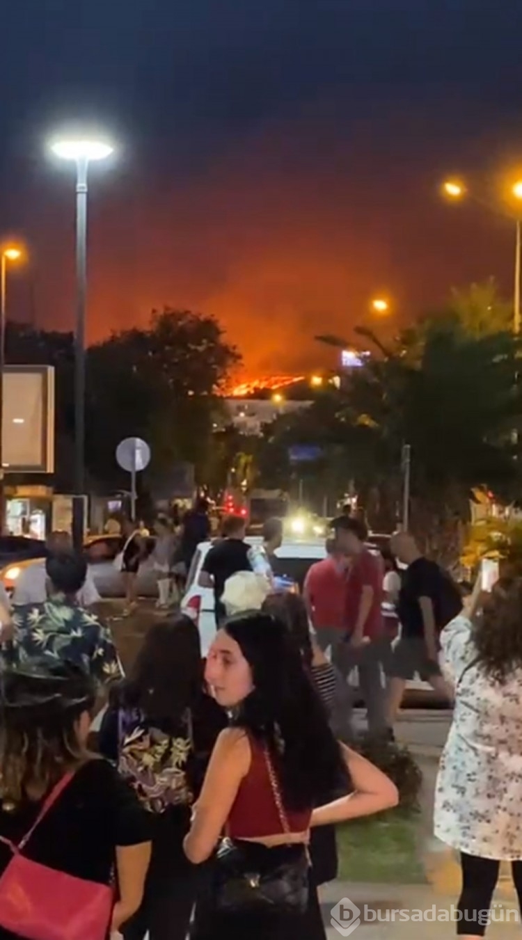 Çanakkale'deki orman yangını kontrol altına alındı