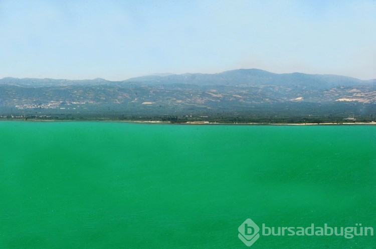 İznik Gölü'nün rengi turkuaza döndü