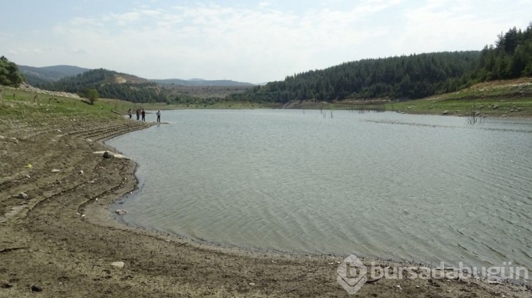 Kocasu Deresi'ndeki balık ölümleri korkutuyor