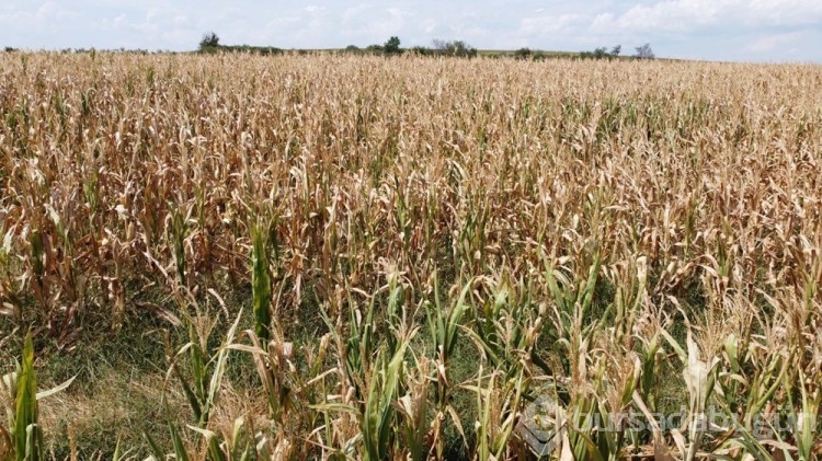 Edirne'de sulama göleti kurma noktasına geldi