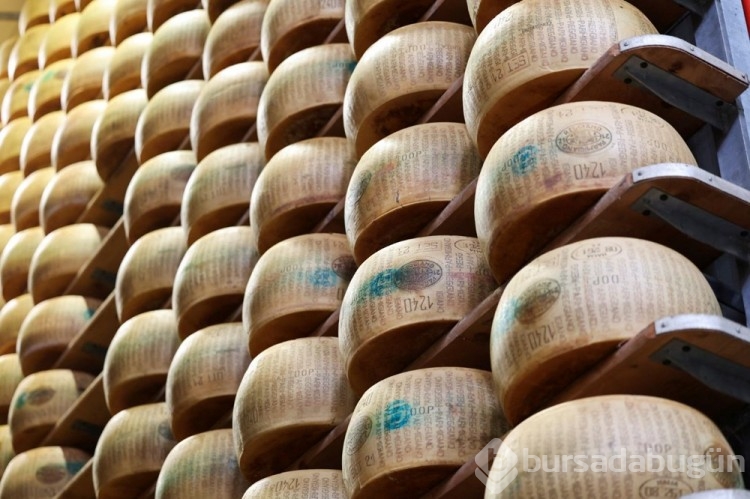İtalya'da mikroçipli parmesan üretiliyor