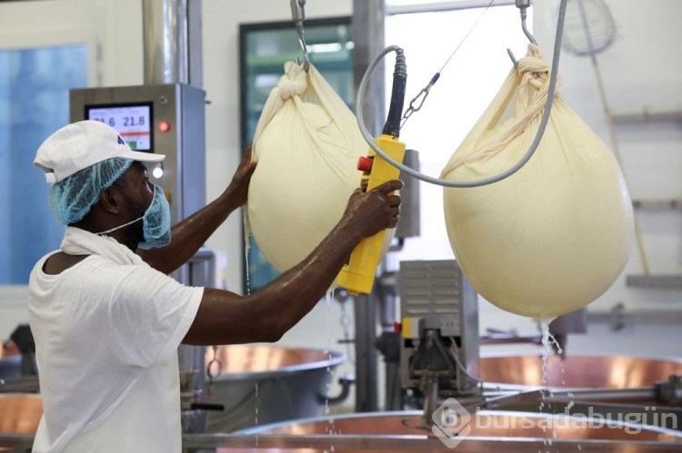 İtalya'da mikroçipli parmesan üretiliyor