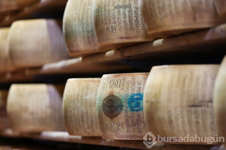 İtalya'da mikroçipli parmesan üretiliyor