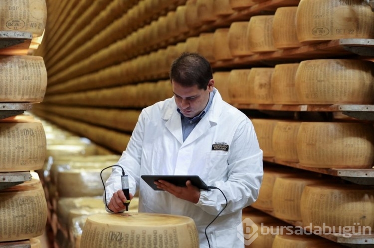 İtalya'da mikroçipli parmesan üretiliyor