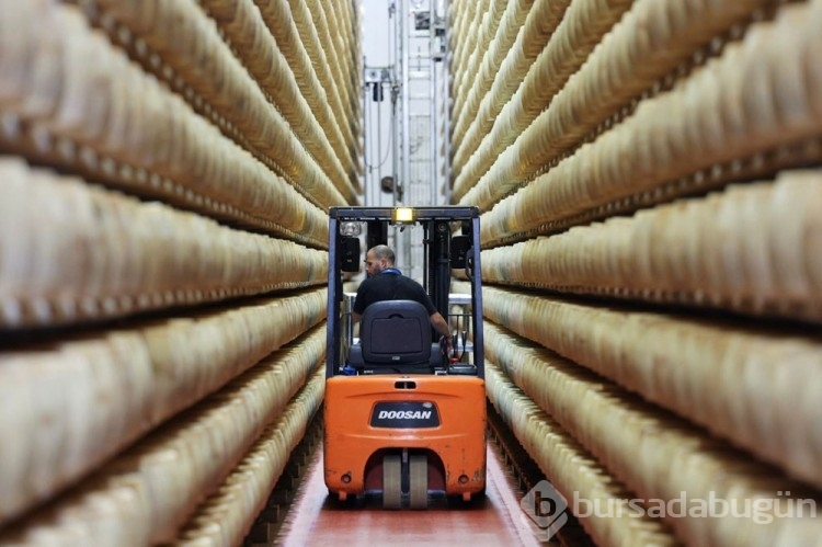 İtalya'da mikroçipli parmesan üretiliyor