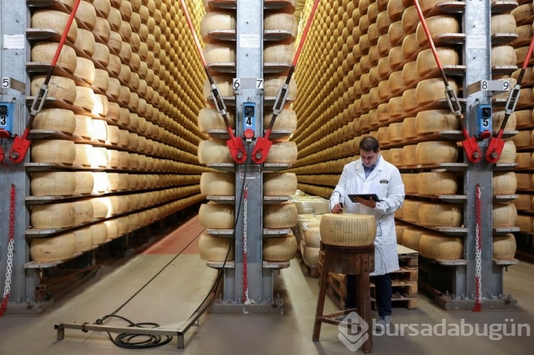 İtalya'da mikroçipli parmesan üretiliyor