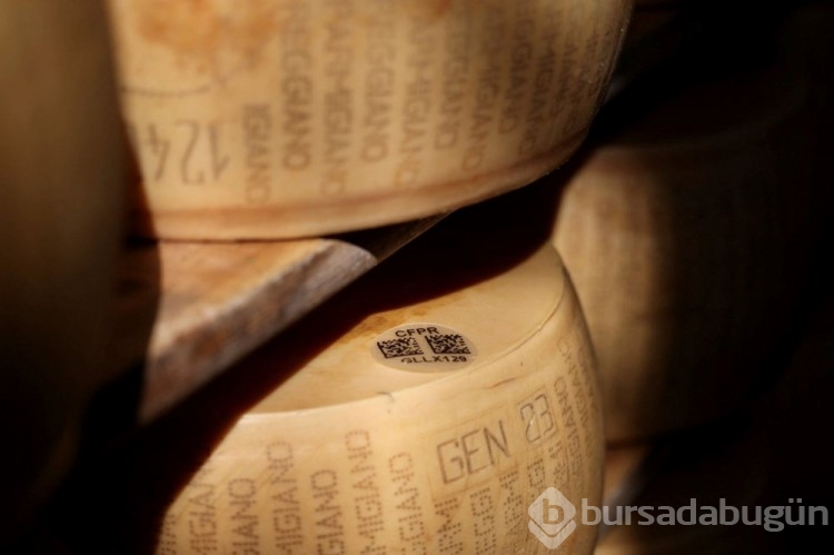 İtalya'da mikroçipli parmesan üretiliyor