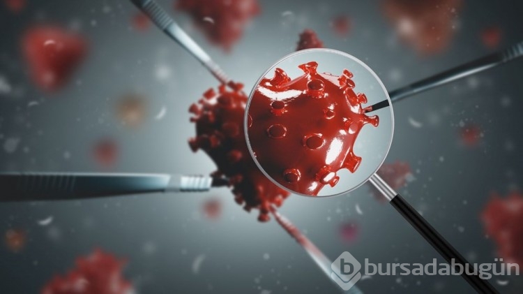 Pirola varyantı dünyayı endişelendiriyor: Pirola varyantının belirtileri nelerdir?