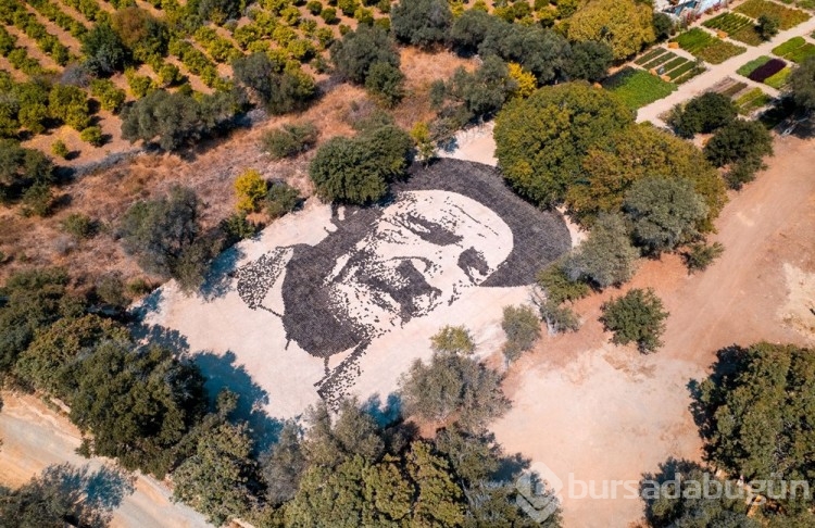 Aşık Veysel'in vefatının 50. yılında Bodrum'da dev portresi yapıldı
