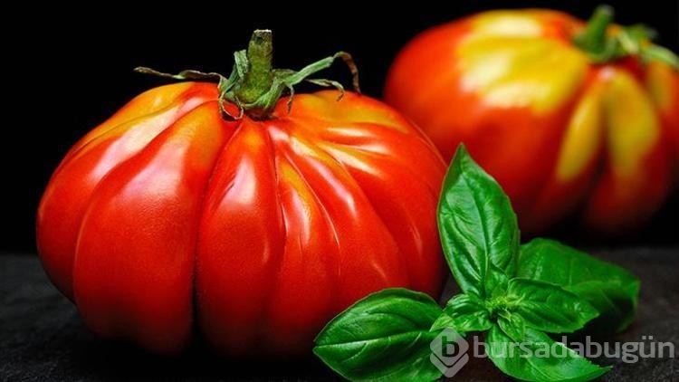 Domates konservesi yapmanın püf noktaları