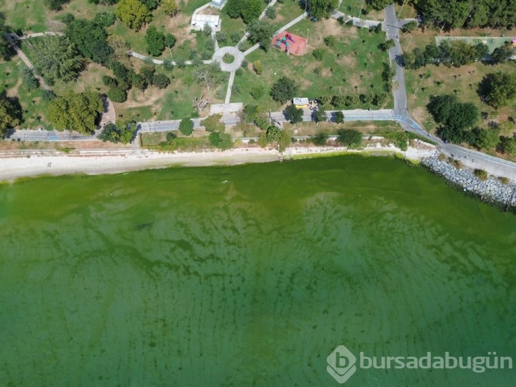 İstanbul'da kanalizasyon yanında deniz girdiler