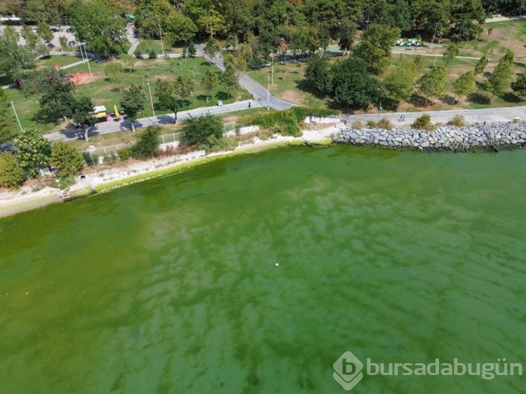 İstanbul'da kanalizasyon yanında deniz girdiler
