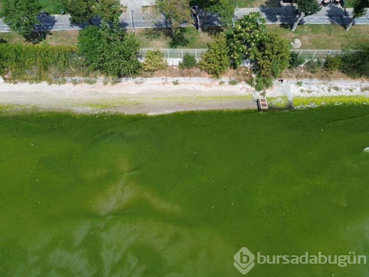 İstanbul'da kanalizasyon yanında deniz girdiler