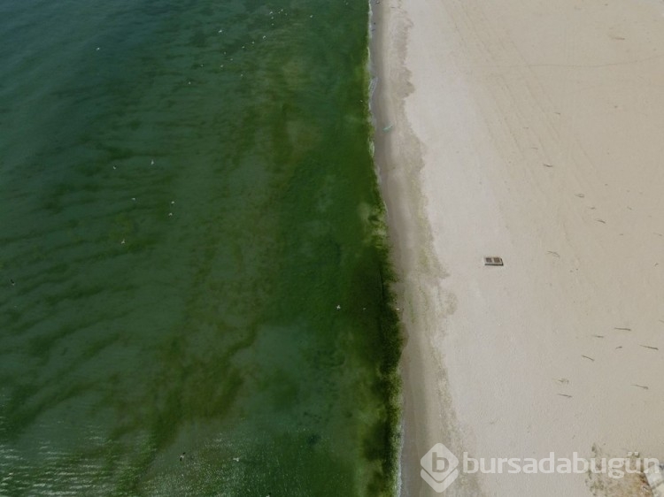 İstanbul'da kanalizasyon yanında deniz girdiler
