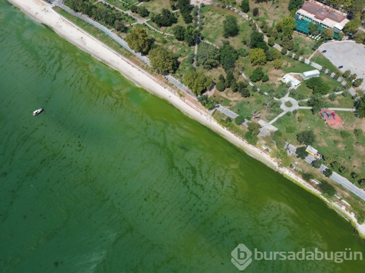 İstanbul'da kanalizasyon yanında deniz girdiler