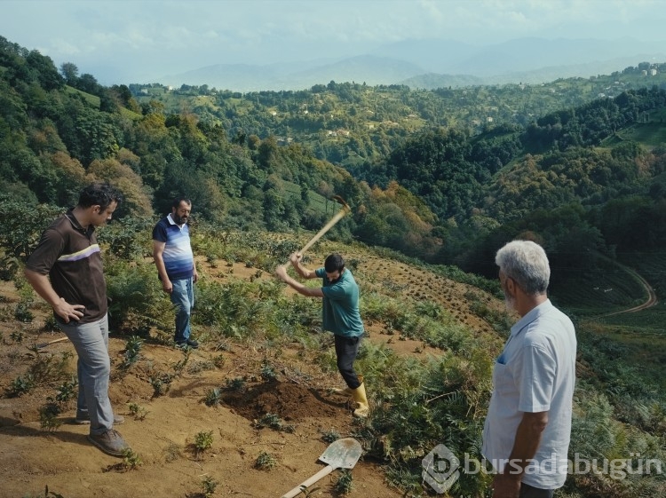 Altın Portakal'da yarışacak filmler belli oldu