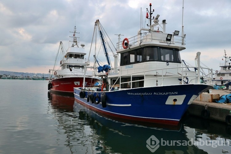 Karadeniz'de mezgit bereketi
