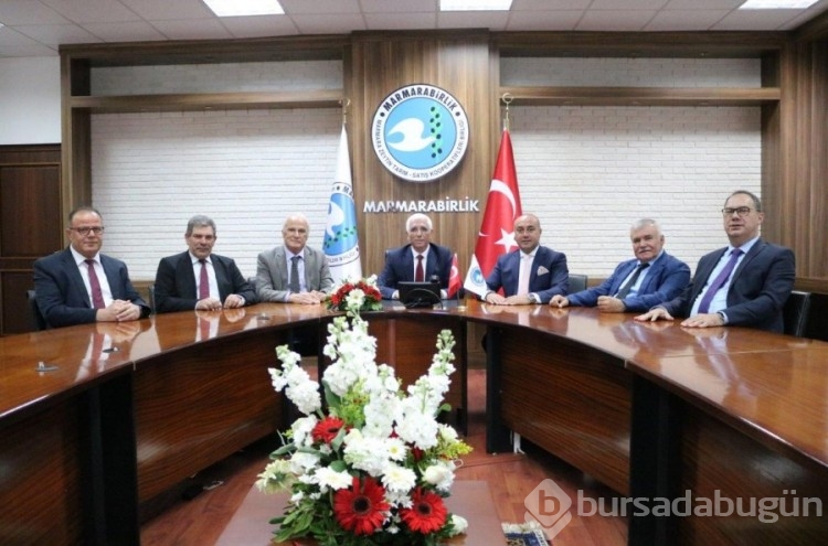 Marmarabirlik'te rekolte beyan alımlarına başlandı