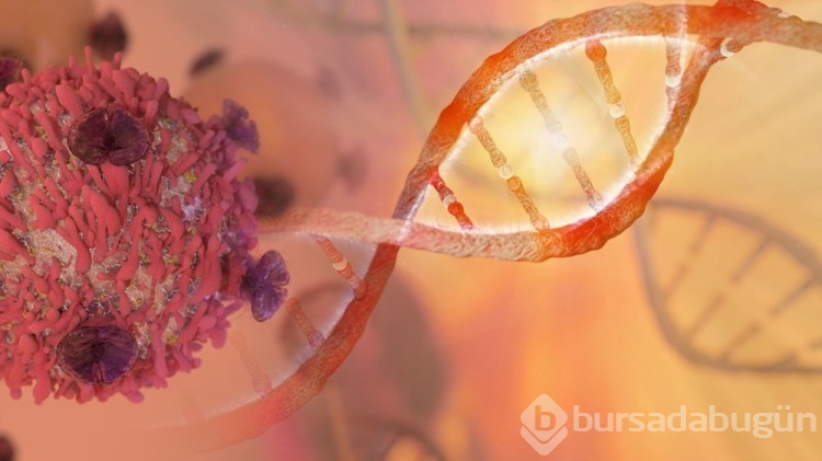 Devrim yaratacak çalışma: mRNA aşısıyla ilk kanser tedavisi