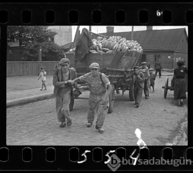 Gömdüğü fotoğraflar Nazi dehşetini gözler önüne serdi