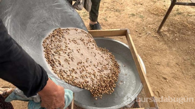 Nohudun 200 derecelik meşe ateşinde başlayan yolculuğu