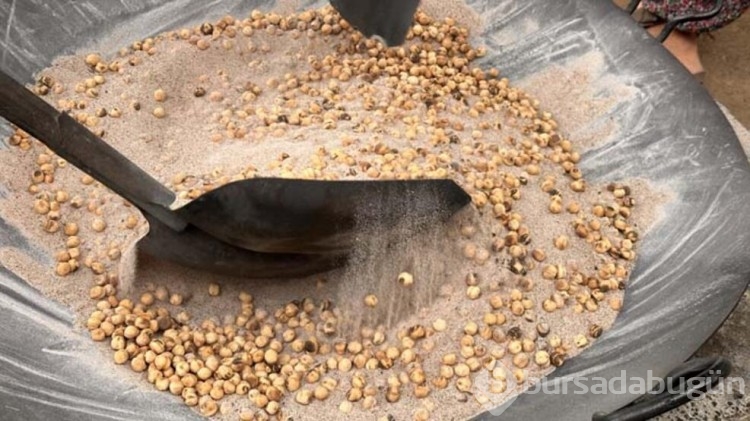 Nohudun 200 derecelik meşe ateşinde başlayan yolculuğu