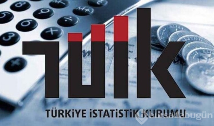 TÜİK, Türkiye'de en çok kullanılan sosyal medya platformlarını açıkladı