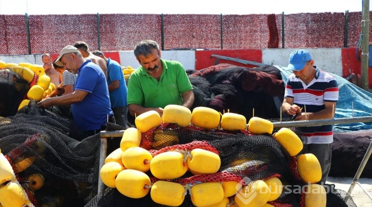 Balıkçılar bol hamsiyle limana dönüyor